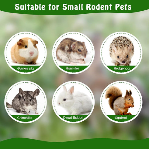 1000g Chinchilla BWOGUE Pet Snacks Sweet Bamboo Chew Toy for Squirrel Rabbits Guinea Pigs Hamster