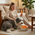 Fiber,10.58 oz Sweet Potato Chews for Dogs, Healthy Dog Training Treats Low Fat, Human Grade Single Ingredient Dried