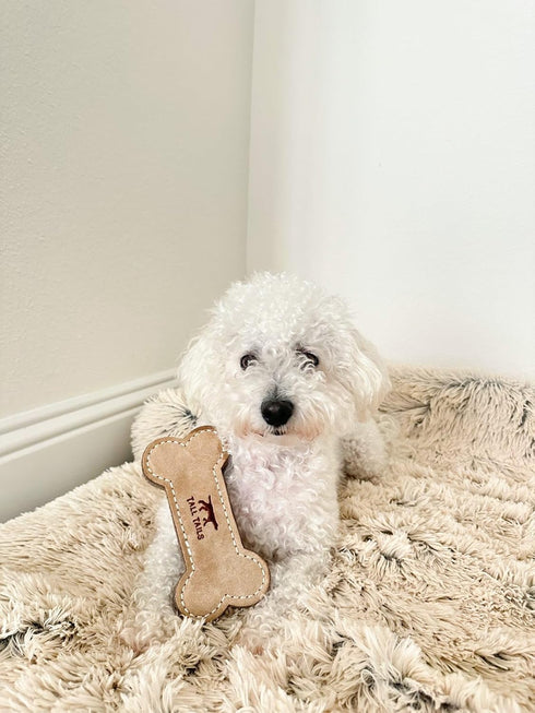 Tall Tails Dog Natural Leather Bone Fetch Toy Gift for Dogs, 6 inches