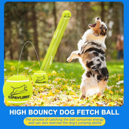 EXPAWLORER 12 Pack Tennis Toys for Dogs, 2.5 Inch Squeaky Balls for Aggressive Chewers, Perfect for All Dog Sizes