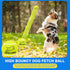EXPAWLORER 12 Pack Tennis Toys for Dogs, 2.5 Inch Squeaky Balls for Aggressive Chewers, Perfect for All Dog Sizes