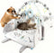 Puppy Play Gym & Cat Activity Mat,with Interactive Cat & Dog Toys,Multi