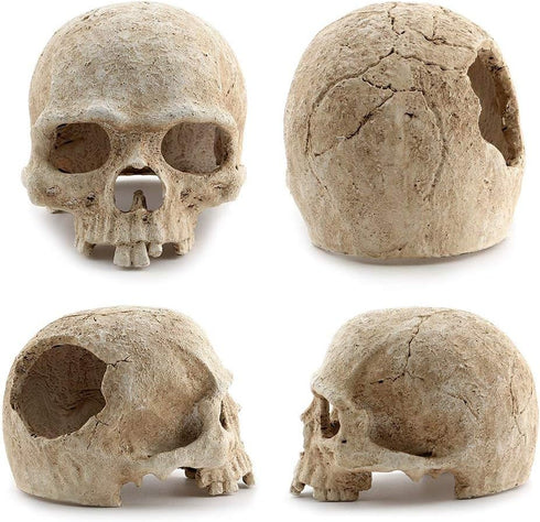 Aquarium Resin Skull for Aquarium Decoration and Reptile House Cave