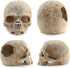 Aquarium Resin Skull for Aquarium Decoration and Reptile House Cave