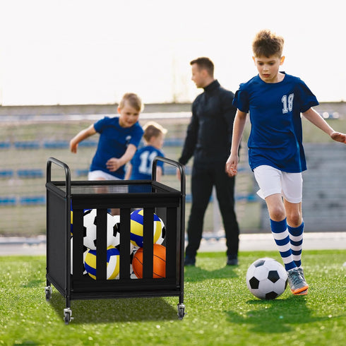 Ball Storage Cart, Sports Equipment Organizer with Wheels, Storing Volleyball, Basketball, Soccer, Baseball and Toy