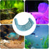 Bingche 8pcs Hammock Floating Fish Betta Aquarium Resting Platforms for Rest Sleeping Playing Shrimp Guppy Habitat