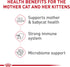Royal Canin Feline Health Nutrition Mother & Babycat Dry Cat Food for Newborn Kittens and Pregnant or Nursing Cats, 6