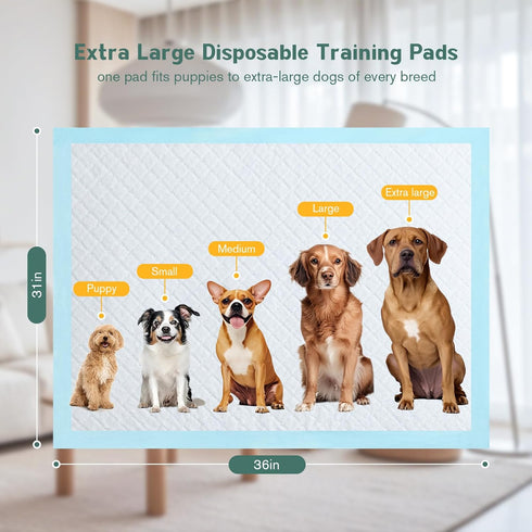 31" 36" 60 Count, 6-Layer Large Puppy Pee Pads for Dogs x Leak-Proof XXL Dog Pee Pads Extra Large, Super Absorbent