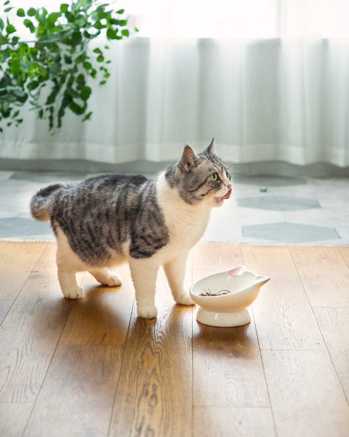 Raised Cat Food Bowl Ceramic - 15° Tilted Bowls for Anti Vomiting, Backflow Prevention for Adult Cats, Pink