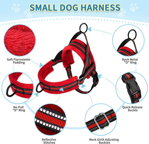 SlowTon No Pull Small Dog Harness & Leash Set, Adjustable Soft Vest Harness for Small Medium Dogs (R-Front Clip, S)