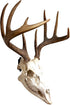 Heavy-Duty Alloy Steel European Skull Mount Hanger, 3 Pack (Black) for Whitetail Deer, Feral Hog, Bear & Exotic Skulls