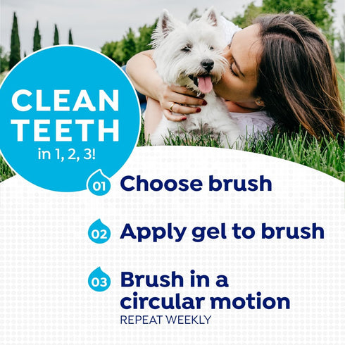 Naturel Promise Fresh Dental Toothbrush and Toothpaste Kit for Dogs - Teeth Cleaning Kit for Plaque & Tartar Removal