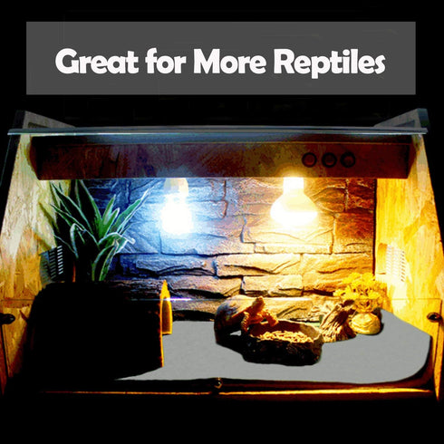 47" x 24" Large Reptile Carpet Mat, Bedding Substrate Liner for Bearded Dragon, Snake, Lizard, Tortoise (Grey)
