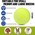 20 Pack 2.5 inch 2.5inch) Magicorange Dog Tennis Balls, Floatable Squeaky Tennis Balls for Fetch Exercise, Natural