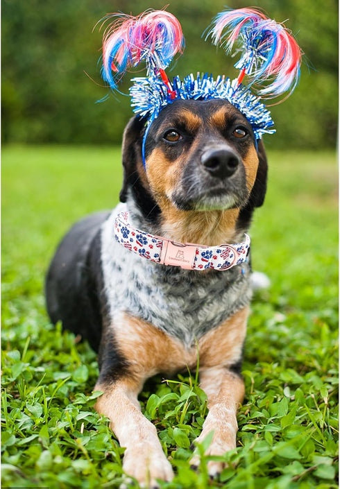 Lionheart Glory American Flag Dog Collar, Heavy Duty Adjustable Patriotic Dog Collar for Small Dogs, Independence Day