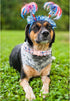 Lionheart Glory American Flag Dog Collar, Heavy Duty Adjustable Patriotic Dog Collar for Small Dogs, Independence Day