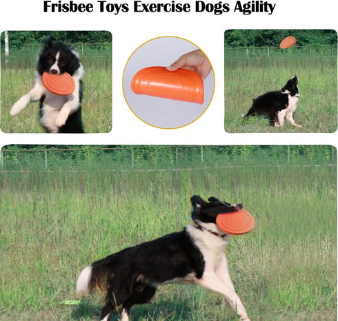 Dog Rope Toy, 20 Pack for Fun and Teeth Cleaning for Medium to Small Dogs