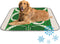 imiBBWQu Cooling Mat for Dogs St Patrick Day Shamrock Dog Cooling Pad Washable