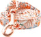 Lionheart Glory Strong Dog Leash, Floral Durable Leashes with Comfortable Soft Handle for Small Medium and Large Dogs
