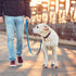 Pet Bells for Dog Cat Collar, 24 Sets of Stainless Steel Anti-Lost Training Bells, Suitable for Pet Pendant Accessories