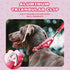 Martingale Dog Collar, Pink Light-Reflective Polyester for Whippets, Greyhounds, No-Pull No-Escape Adjustable Collars