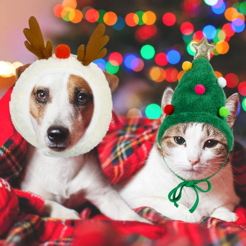 Xuniea Green Santa Dog Hat Antler Dog Costume Christmas Hat for Cats Reindeer Puppy Dog Cap Adjustable Christmas Tree Hat Elk Antler Pet Hat Dog Headband Cute Small Dogs Head Accessories Headdress