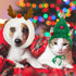 Xuniea Green Santa Dog Hat Antler Dog Costume Christmas Hat for Cats Reindeer Puppy Dog Cap Adjustable Christmas Tree Hat Elk Antler Pet Hat Dog Headband Cute Small Dogs Head Accessories Headdress