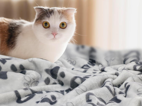 Dog Blanket, Premium Soft Washable Dog Blanket, 41x31inch Puppy Essentials, Cat Blankets Throw for Medium Small Dogs,