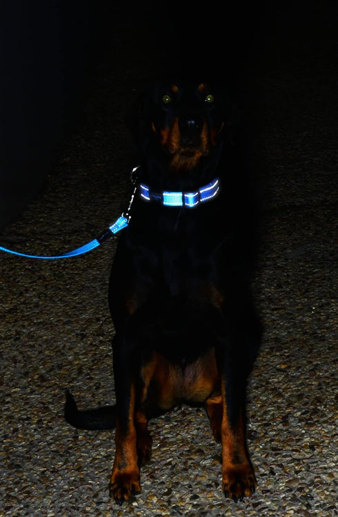 Reflective Dog Leash for Large Dogs, 3/4" wide, 6' long, Purple