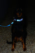 Reflective Dog Leash for Large Dogs, 3/4" wide, 6' long, Purple