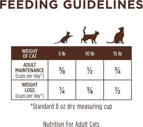 Instinct Limited Ingredient Diet Grain Free Recipe with Real Turkey Natural Dry Cat Food, 11 lb Bag