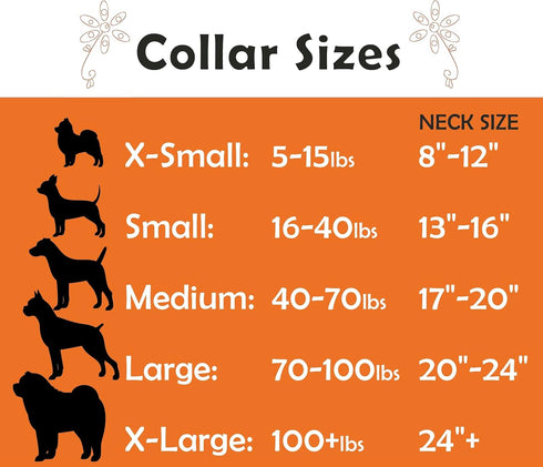 Seashell Dog Collar, Cute Dog Collar for Beach Essentials, Stylish Dog Necklace, Unique Pet Beach Gear