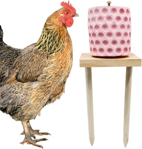 MHLLGN Chicken Coop Accessories, Beak Grinding Calcium Stone with Woodem Stake, Chicken Enrichment