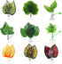 Betta Fish Leaf Bed Simulation Leaf Hammock Natural Habitat Fishtank Spawning Grounds Suction Cup Leaf Pad Resting Bed Suction Cup Betta Leaf Hammock
