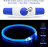 BSEEN Light Up Dog Collar, USB Rechargeable Flash Necklace for Pet Safety, Blue for Small Medium Large Dogs
