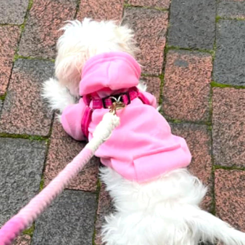 Jecikelon Winter Dog Hoodie Sweatshirts with Pockets, Warm Clothes for Small Dogs, Chihuahua Coat, Pink, Small