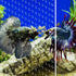 Aquarium Divider Clear for 10 Gallon/20-Gallon Fish Tank, Includes Suction Cups Accessories