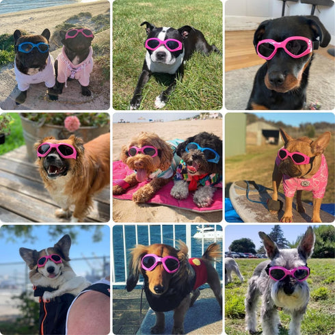 Petleso Dog Goggles for Medium Breed, Eye Protection Sunglasses, Windproof Anti-UV, Pink