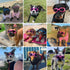 Petleso Dog Goggles for Medium Breed, Eye Protection Sunglasses, Windproof Anti-UV, Pink