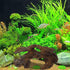 Tfwadmx 4 Pcs Aquarium Resin Driftwood Decoration, Fish Tank Cave Hideout Wood Decor