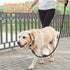 BARKBAY Dog Leashes for Large Dogs, Heavy Duty 2 PACK 5 FT with Comfortable Padded Handle, Highly Reflective Threads