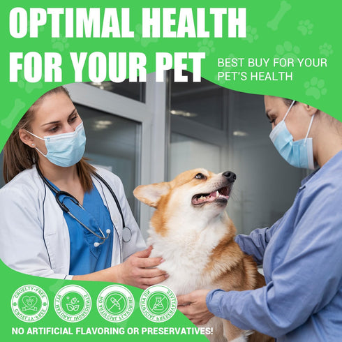 3 2 Oz Milk Thistle for Dogs - Liver & Kidney Support, Natural Detox & Hepatic Health, with Wild Alaskan Salmon Oil
