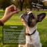200pcs Glucosamine for Dogs Joint Support Supplement Dog Hip and Joint Chondroitin Chews Treats with MSM Dog Joint Pain