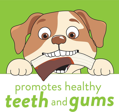 Spunky Pup Snack & Chew Antler Toy | Promotes Healthy Teeth & Gums for Puppy