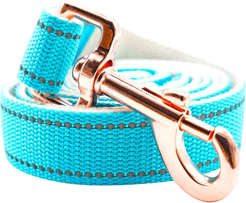 Lionheart Glory Dog Leash, Reflective Adjustable Durable Soft Classic Leash for Medium Dogs, Pet Gift