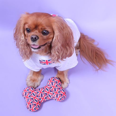 Pet London Union Jack British Flag Squeaker Bone Dog Toy, Full Size Squeaky Insert, UK Design