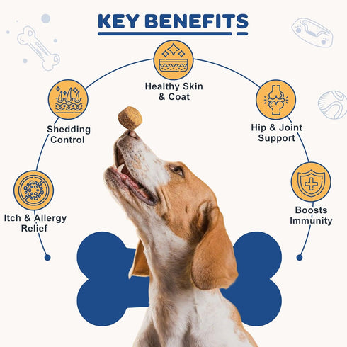 3 6 9 120 ZEBORA Salmon Oil for Dogs Skin and Coat - Omega Fish Oil Soft Chews for Dogs Itchy Skin Relief - Dog Fish