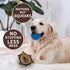 Plush Hedgehog Dog Toys 3 PCS - Squeaky Stuffless Hedgehog for Small and Medium Dogs, Interactive Pet Toys