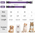 Reflective Dog Collar, Padded Soft Neoprene Breathable Quick Release Collars for Puppy Small Dogs, Girl Purple