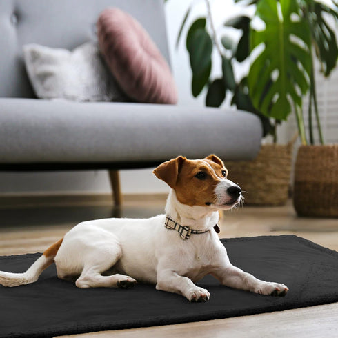 Kritter Planet Waterproof Sofa Blanket for Dogs, Pee Proof Reversible Couch Cover, Washable Liquid Proof Furniture